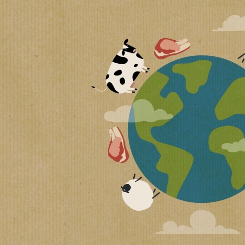 It’s Time for Qurbani!