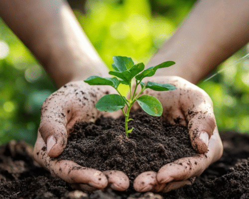 Seasonal vs Sustainable giving